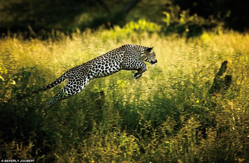 How to be a professional photographer 9